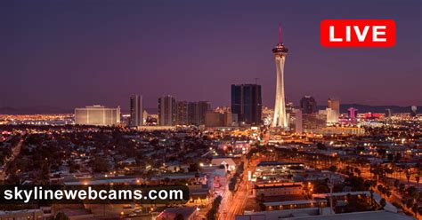 live seccams|Live Webcams of the United States of America